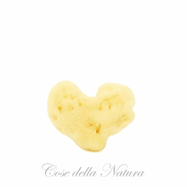 COSE DELLA NATURA FINE DAMA SBIANCATA