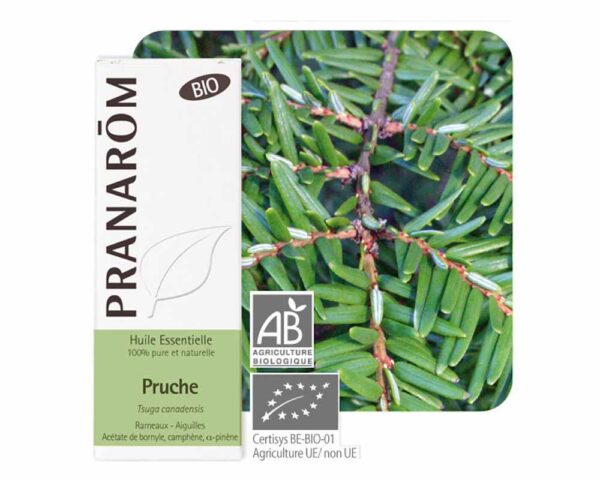 PRANAROM OLIO ESSENZIALE TSUGA DEL CANADA