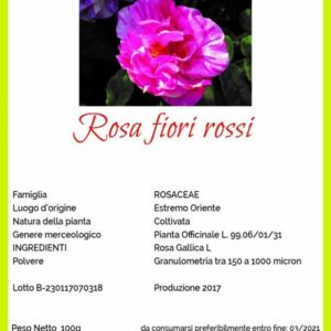 MICHELE RINALDI ROSA FIORI ROSSI
