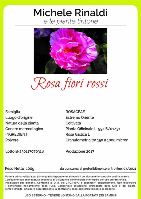 MICHELE RINALDI ROSA FIORI ROSSI