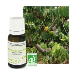 olio essenziale ylang ylang
