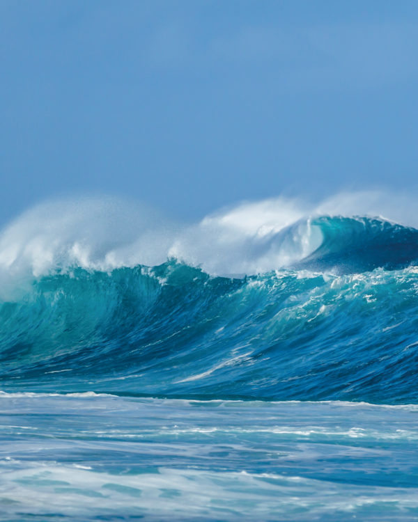 LABORATOIRES DE BIARRITZ OCEANO GEL DOCCIA BIO - immagine 2