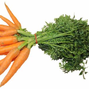 PRANAROM OLIO ESSENZIALE CAROTA