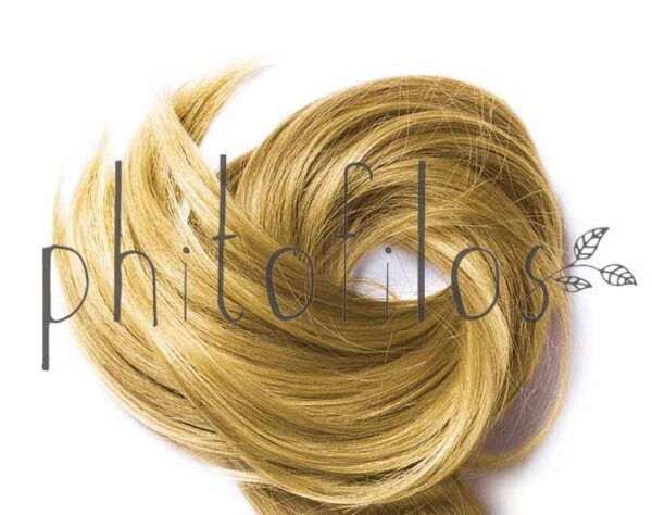 PHITOFILOS MISCELA CAMOMILLA ARTE D' ERBE