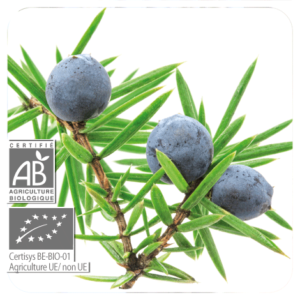 PRANAROM OLIO ESSENZIALE GINEPRO